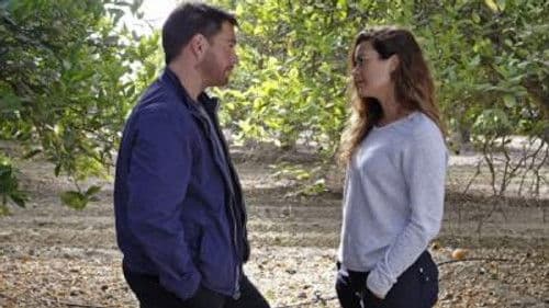 Past, Present, and Future